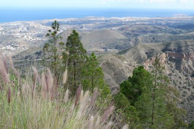 Tenerife adasındaki Büyük Kanarya Dağı manzarası. İspanya.