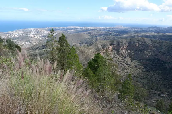 İtalya 'daki etna dağından manzara
