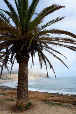 Doğanın güzel manzarası