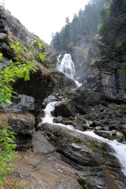 Ormanda güzel bir şelale