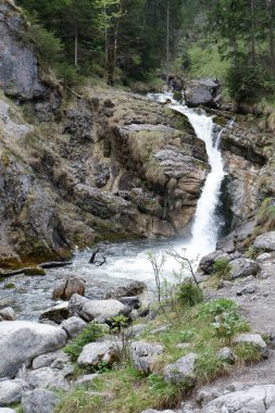 Doğanın arka planında güzel bir şelale