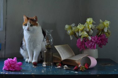 Vazoda bir buket lale olan kedi.