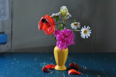 Güzel botanik fotoğrafı, doğal duvar kağıdı.