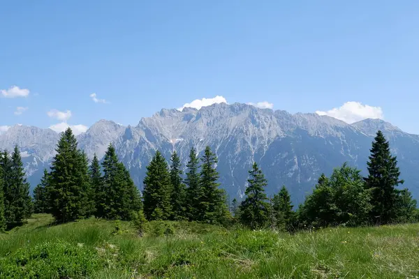 Yazın dağların manzarası