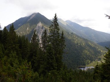 Dağları, ormanı ve bulutları olan güzel dağ manzarası.