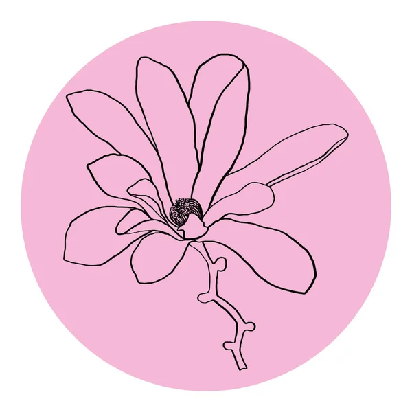 Flower line sketch illustration in pink circle. Isolated on white background. For invitation, decor, logo, poster, greeting card.