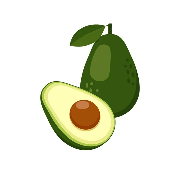 Avocado Set Mit Ganzen Und Halben Grünen Tropischen Früchten Veganes — Stockvektor