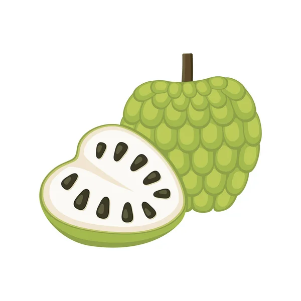 Jablečný Set Izolovaným Celistvým Krájeným Tropickým Ovocem Annona Reticulata Zelené — Stockový vektor
