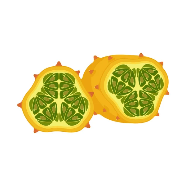 Kiwano Set Design Izolovaným Celistvým Řezem Tropického Ovoce Rohatého Melounu — Stockový vektor