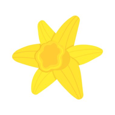 Beyaz arka planda izole edilmiş sarı nergis çiçeği. Tebrik kartları, posterler, tasarımlar için vektör narsissus illüstrasyonuName