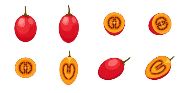 Tamarillo Set Design Indigented Whole Cut Alal Fruit Tomato Экзотические — стоковый вектор