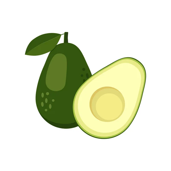 Avokádo Celistvým Půleným Zeleným Tropickým Ovocem Veganské Zdravé Výživné Jídlo — Stockový vektor