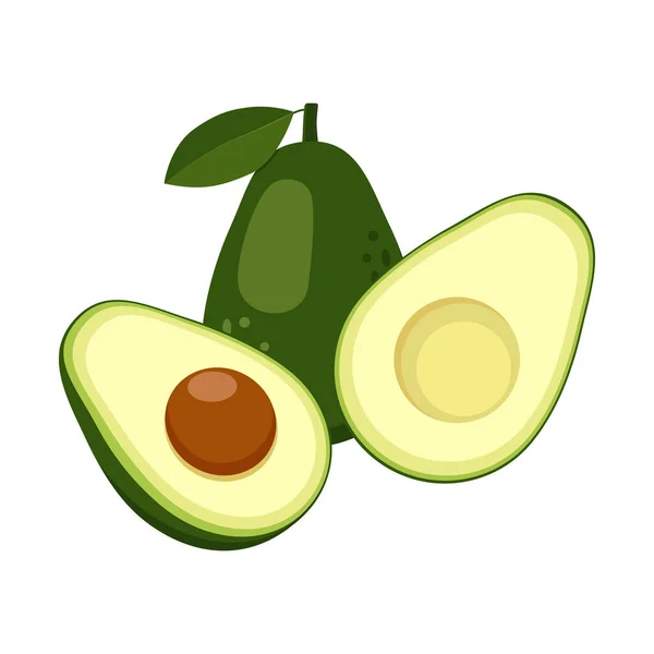 Avokádo Celistvým Půleným Zeleným Tropickým Ovocem Veganské Zdravé Výživné Jídlo — Stockový vektor