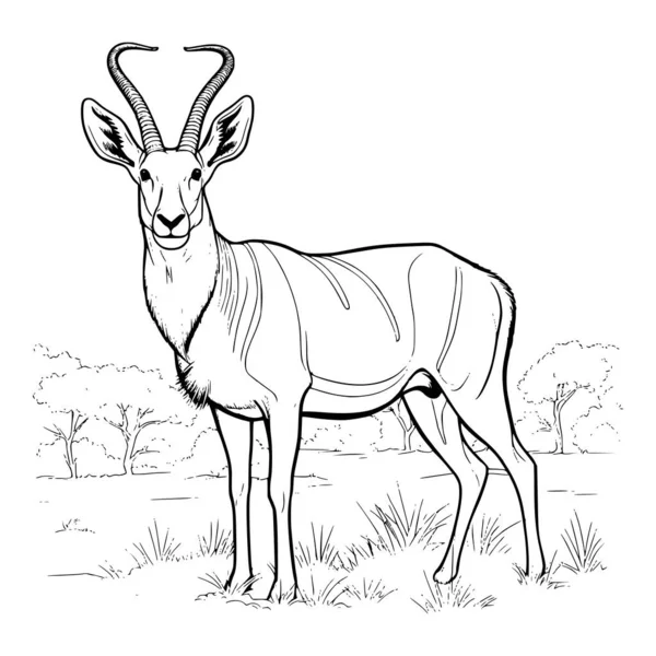 100,000 Antelope addax Vector Images | Depositphotos