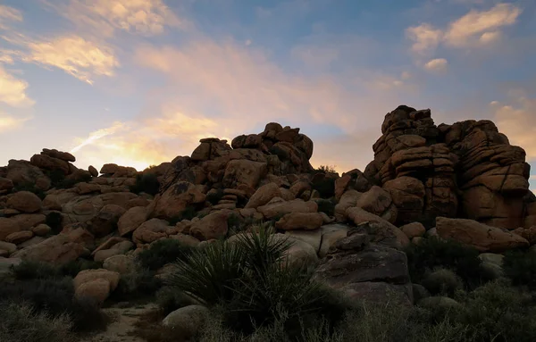 Exploring and camping on rock formations at Jumbo Rocks Campground in Joshua Tree National park high desert.