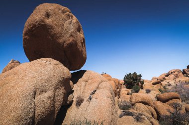 Joshua Tree Ulusal Parkı 'ndaki kayalık oluşumları araştırıyor ve kamp kuruyor.