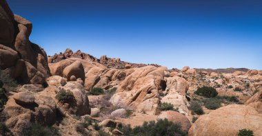 Joshua Tree Ulusal Parkı 'ndaki Jumbo Kayalıkları Kampı' nda keşif, kamp ve yürüyüş..