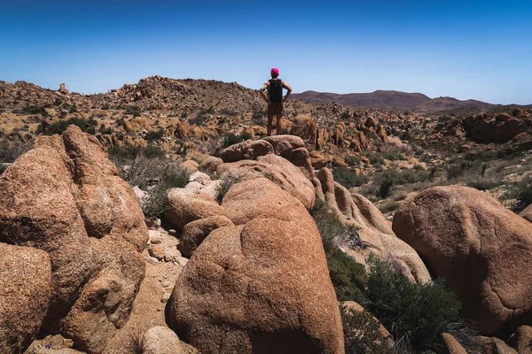 stock image Exploring, camping, and hiking by Jumbo Rocks Campground in Joshua Tree National park high desert.