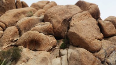 Joshua Tree, California, ABD, 16 Nisan 2023: Joshua Tree Ulusal Parkı 'ndaki Jumbo Kayalıkları Kampı' nda keşif, kamp ve yürüyüş.