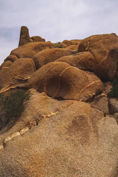 stock image Joshua Tree, California, USA, April 16, 2023: Exploring, camping, and hiking on rock formations by Jumbo Rocks Campground in Joshua Tree National park high desert.