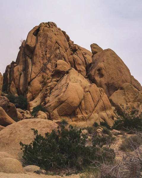 Joshua Tree Kalifornien Usa April 2023 Exploring Camping Hiking Rock — Stockfoto