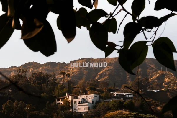 North Hollywood Yhdysvallat Toukokuu 2023 Hollywood Kirjaudu Sisään — kuvapankkivalokuva