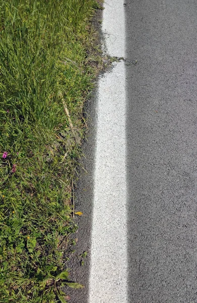 Yol boyunca beyaz bir çizgi, bir tarafında otlar, diğer tarafında katran.