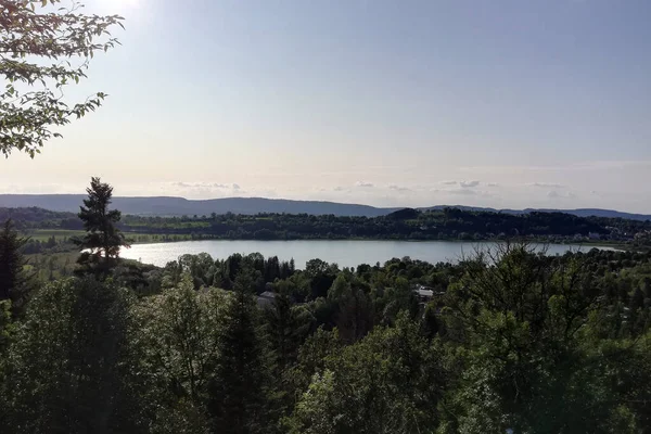 Stock image lake among fir trees seen from above