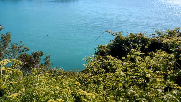 Vista Mar Azul Turquesa Além Vegetação — Fotografia de Stock