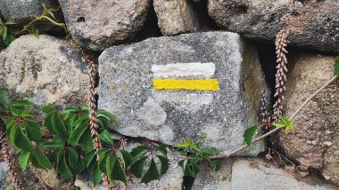 Sarı ve beyaz yürüyüş işaretleri