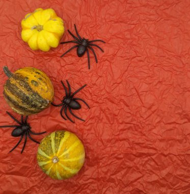 Fantezi balkabakları ve örümcekler turuncu kağıt arka planda