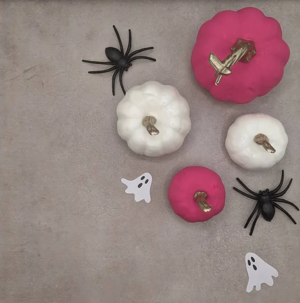 Two white pumpkins, two pink pumpkins, spiders and ghosts on gray cement background.