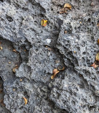 Mor arkaplanda üzüm yapıştırıcısı dikey bileşimi