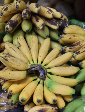 Dominikli küçük muzlar, Meksika pazarında farklı olgunlaşma dereceleri.