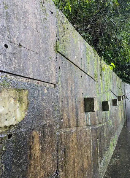 stock image Wet and moldy wall perspective, background