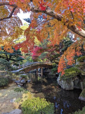 Su akıntısı üzerinde köprü ve Japonya 'da sonbahar ağacı