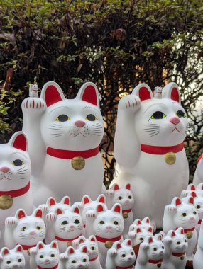 Japonya 'daki Gotokuji Tapınağı' nda kedi figürleri, yakın plan.