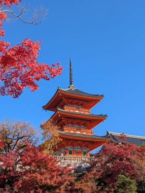 Japon kartpostalı, yeşil pagoda ve kırmızı sonbahar ağaçları.