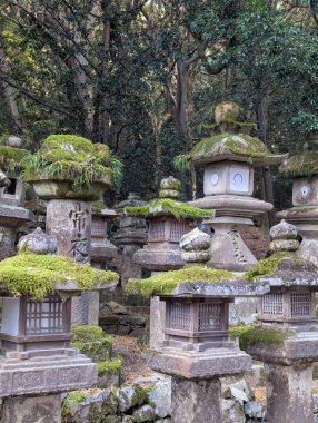 Japon ormanında yosun kaplı taş fenerler.