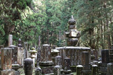 Ormandaki eski Japon mezarlığı