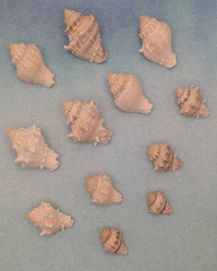 Mor el boyalı mandala ve kalemler.