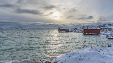 Kuzey Atlantik kıyısındaki güzel, renkli evler. Hillesoy ve Sommaroy adalarındaki ahşap yazlıklar. Göl kenarındaki kırmızı ev. Troms, Kuzey Norveç 'te tatiller. Kvaloya sahilinde kış, okyanustan gelen fırtınalı dalgalarla