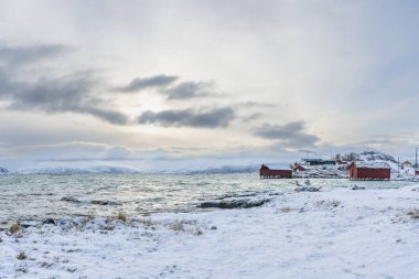 Kuzey Atlantik kıyısındaki güzel, renkli evler. Hillesoy ve Sommaroy adalarındaki ahşap yazlıklar. Göl kenarındaki kırmızı ev. Troms, Kuzey Norveç 'te tatiller. Kvaloya sahilinde kış, okyanustan gelen fırtınalı dalgalarla