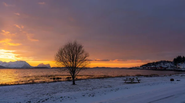 ノルウェーのセンジャの雪の山の上に明るい日差しでアフターグロー 赤い雲はスカーランドのフィヨルドの水に反射しています ベルクシアンを望むベルクスフィヨルデンの夕日 — ストック写真