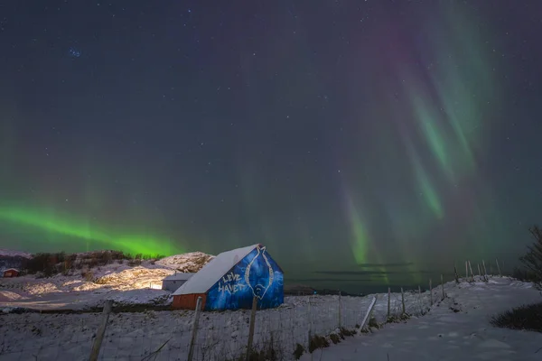 beautiful northern lights over a painted house on the island of Kvaloya near Tromso. dancing polar lights over a barn with a fish, green light in the sky in winter, Aurora Borealis in Troms, Norway. heavenly colored lights over snowy field