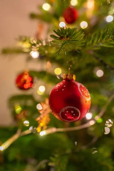 Bola Roja Del Árbol Navidad Decoración Navidad Abeto Verde Abeto — Foto de Stock