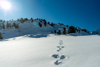 Spoor, tracor, track, line or ways in the Snow, Bregenzerwald 'da kış manzarası, dik kar örtülü dağlar, kayalar ve ağaçlar, Arlberg' de kar ve buz. Karlı dağlarda güneşli bir gün