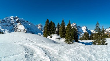 Spoor, tracor, track, line or ways in the Snow, Bregenzerwald 'da kış manzarası, dik kar örtülü dağlar, kayalar ve ağaçlar, Arlberg' de kar ve buz. Karlı dağlarda güneşli bir gün