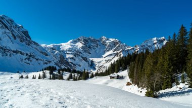 Spoor, tracor, track, line or ways in the Snow, Bregenzerwald 'da kış manzarası, dik kar örtülü dağlar, kayalar ve ağaçlar, Arlberg' de kar ve buz. Karlı dağlarda güneşli bir gün