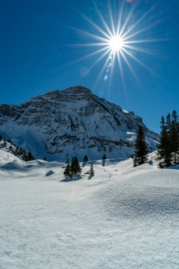 Spoor, tracor, track, line or ways in the Snow, Bregenzerwald 'da kış manzarası, dik kar örtülü dağlar, kayalar ve ağaçlar, Arlberg' de kar ve buz. Karlı dağlarda güneşli bir gün